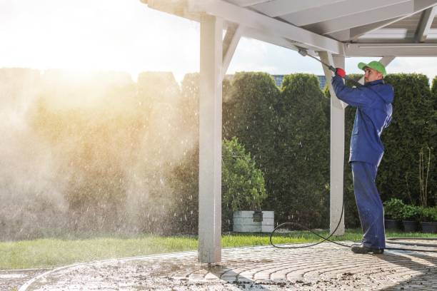 Best Soft Washing for Delicate Surfaces in Lawndale, CA